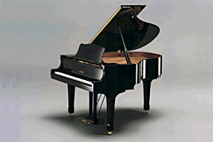 Piano tuner deals brooklyn